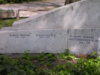 42-0 Sarok - Haltenberger Samu